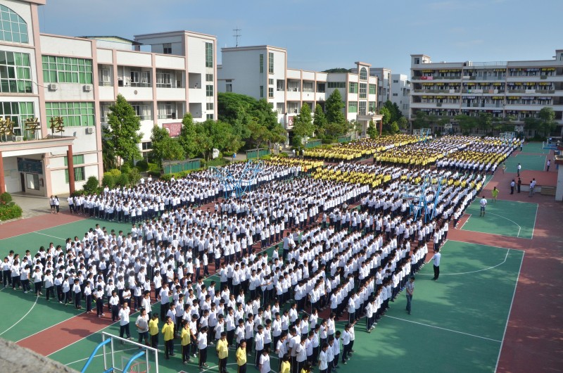 学校鸟瞰图