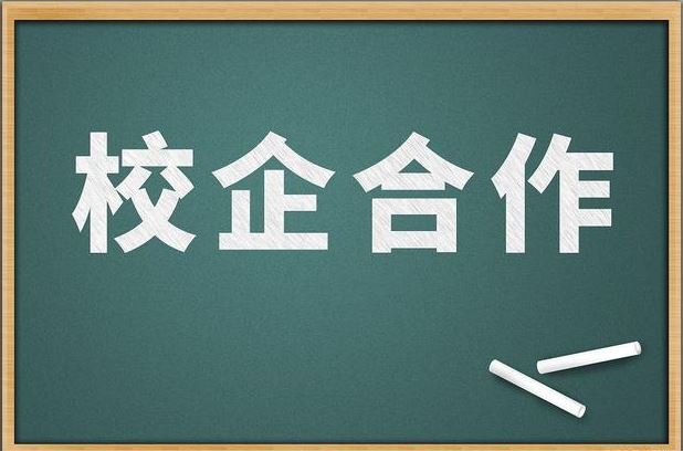 【泰科电子】东莞市高水平校企合作基地年度总结含佐证材料